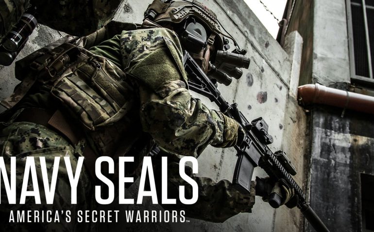 seals