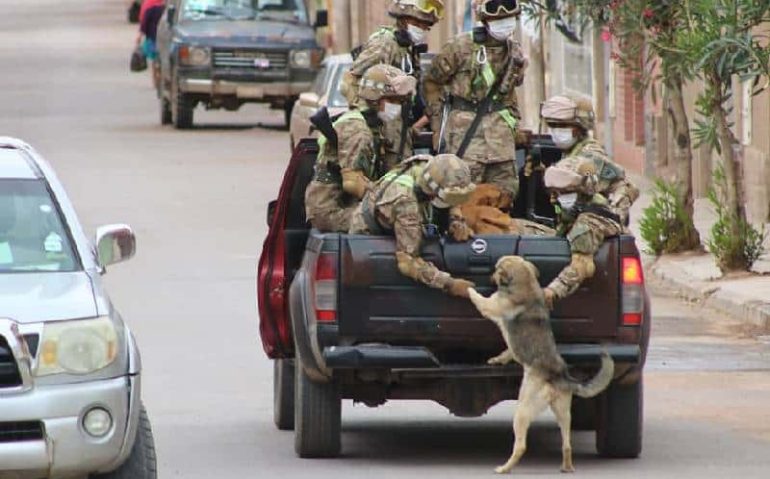 soldados adotam-cachorros-encontrados-durante-a-ronda-1