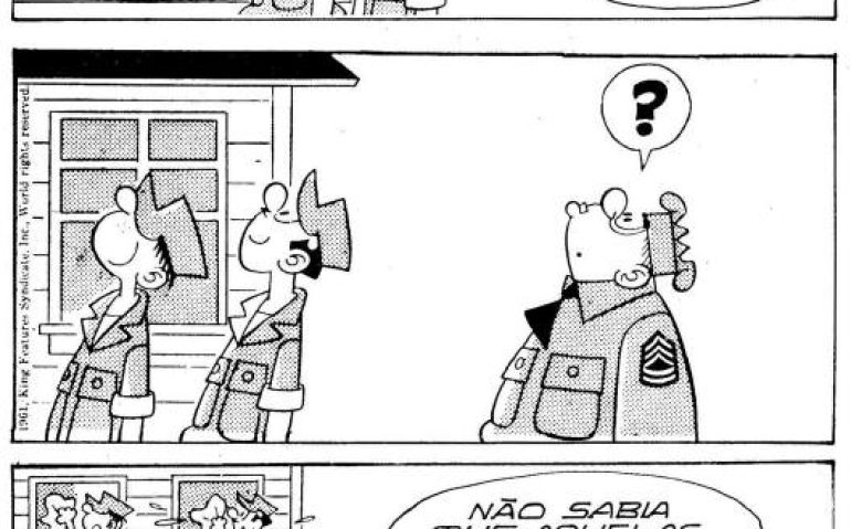 zero e as janelas